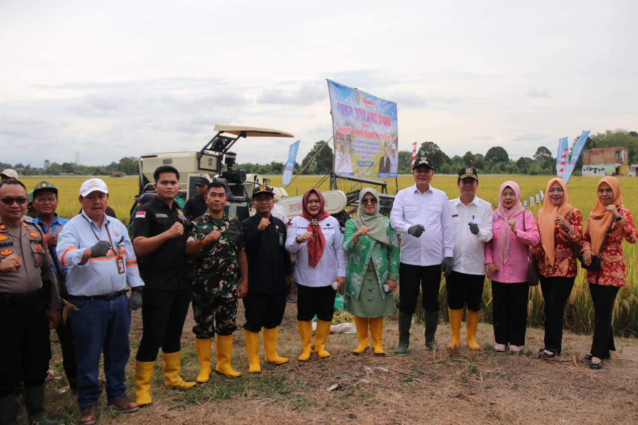panenraya 2